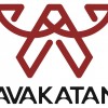 هلدینگ آواکتان (جین وست)