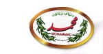 استخدام شرکت صنایع غذایی دنیای زیتون محمد