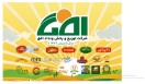 توزیع و پخش ونداد افق