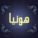 دعوت به همکاری شرکت هونیا بنا