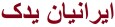 متین ایرانیان یدک