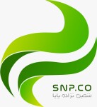 شمین نژاده پایا