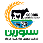 استخدام شرکت سورین کیان فیدار فرداد