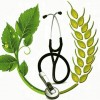 داروخانه گیاهپزشکی نهال سبز