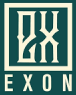 اکسون