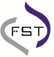 فروزان صنعت تاوریژ
