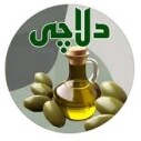 شرکت دلاچی