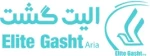 استخدام آژانس هواپیمایی الیت گشت آریا