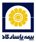 بیمه پاسارگاد - کد نمایندگی 82358