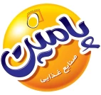 گروه صنعتی پامین