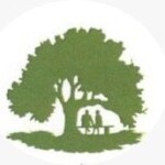 سالمندان یارین