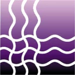 دیبا الیاف آرین