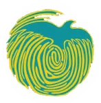 طلوع بی نام و نشانها