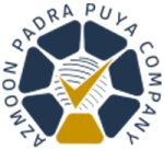 آزمون پادرا پویا