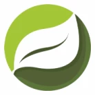 هامین کشت الوند