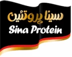 پروتئین گستر سینا