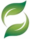 شیفته آرای شرق