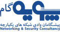 پیشگامان وادی شبکه های یکپارچه