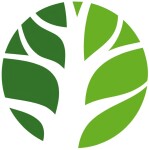 مهدکودک همپا