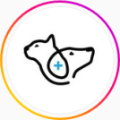 بیمارستان شبانه روزی حیوانات خانگی گیلان