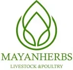 توسعه فناوری مایان