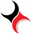 تولیدی کفش لاریکه