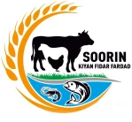 سورین کیان فیدار فرداد