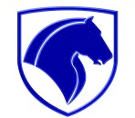 همگام خودرو