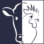 رشد طیور زواره