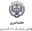 موسسه وکالت حامد امیری