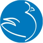سپید ماکیان